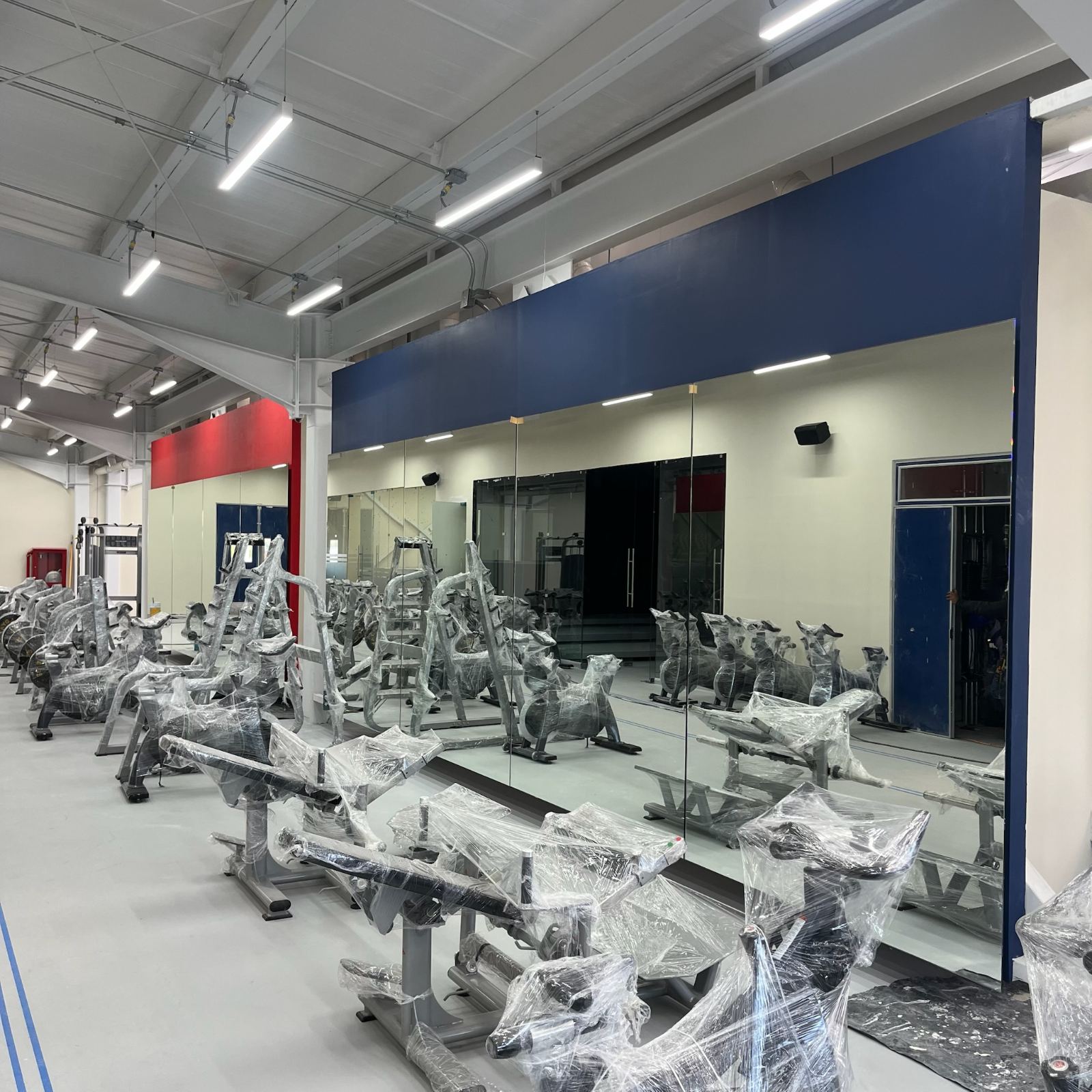 La Salle Gimnasio — Área de pesas · espejos