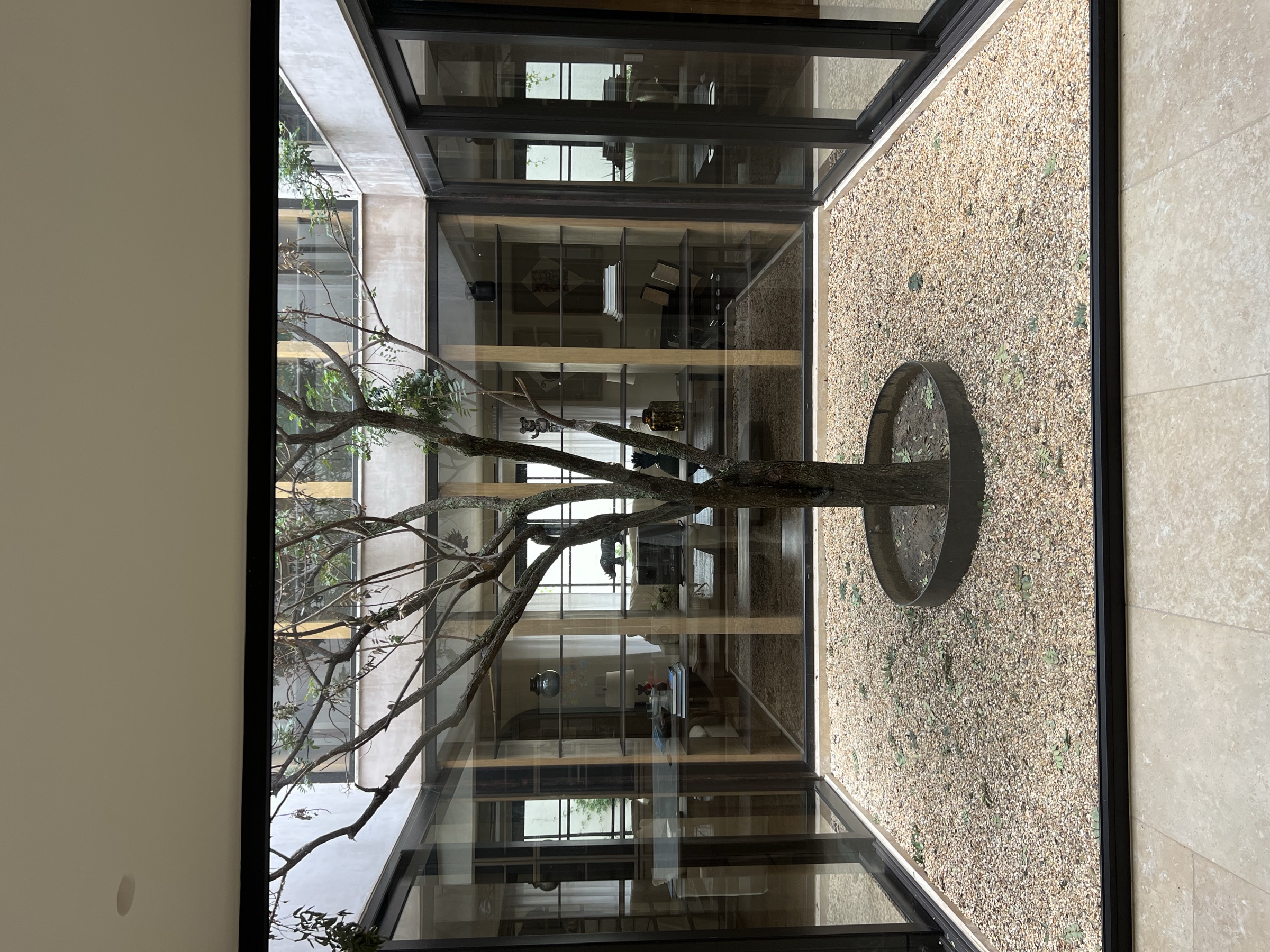 Casa RB — Patio central · árbol
